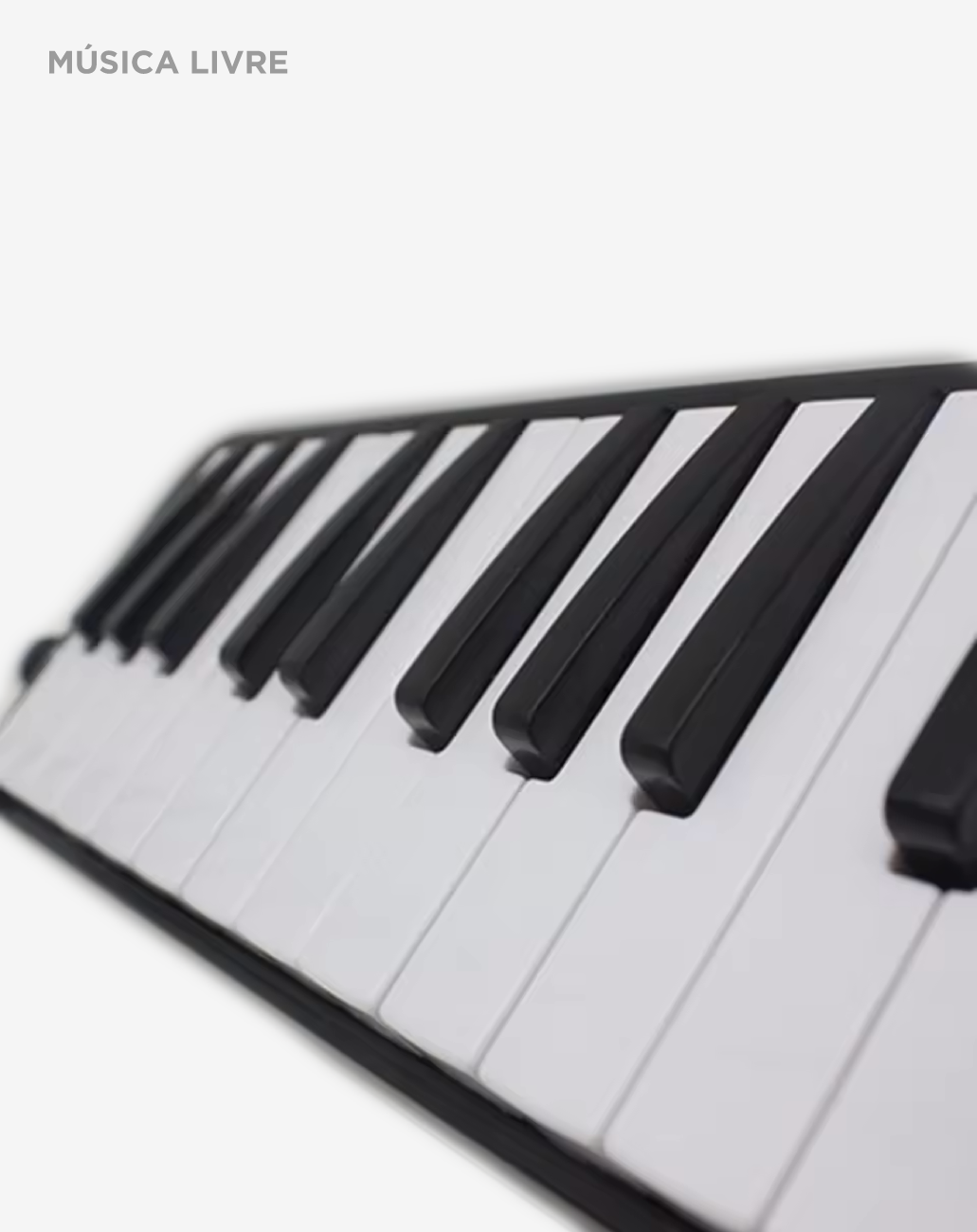 Escaleta 32 Teclas Concert By Strinberg M32 + Capa